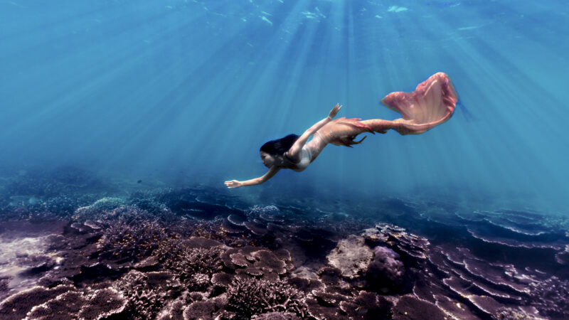 Basic Mermaid
