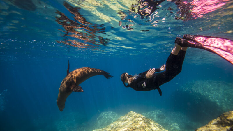 PADI®_ProAcq_22