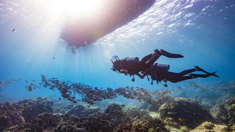 PADI®_ProAcq_28