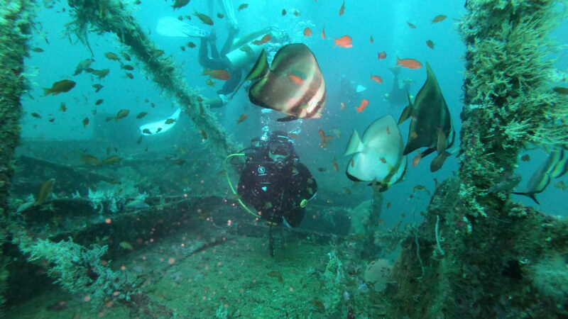 DCIM100GOPROGOPR5952.JPG