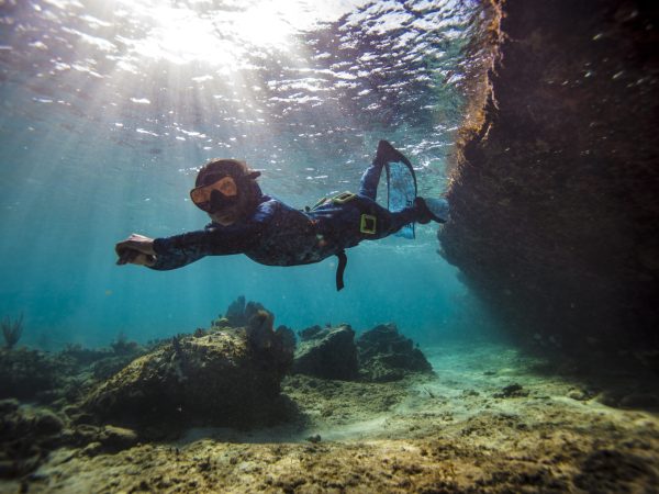 PADI_Bimini_Jan_2017_3437